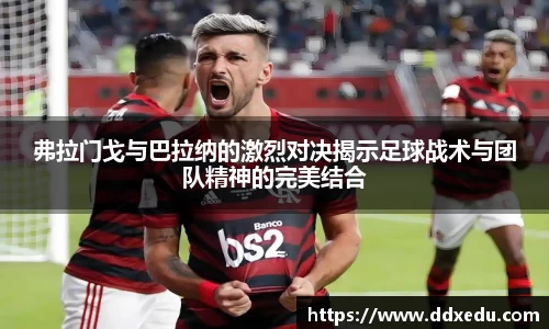 DB真人官网